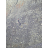 photo miniature
